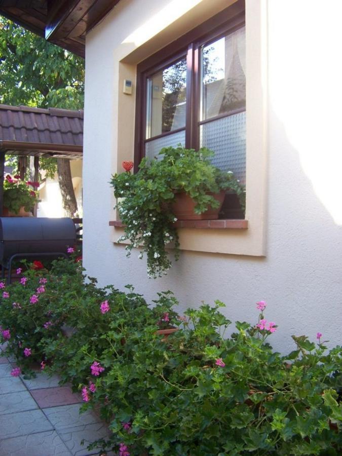 Pensiunea Casa Alba Ghimbav Exterior foto